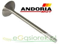 Zawór ssący MF3 ANDORIA MOT