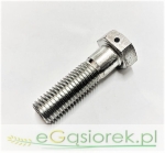 Śruba specjalna z zabezpieczeniem 16x55 kl.8.8