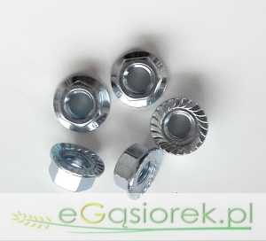 Nakrętka kołnierzowa M10 KL.8.8   DIN 6923