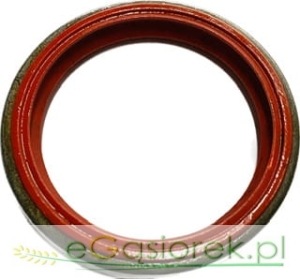 Uszczelniacz 1860867M5 Bepco 41.27x49.35x6.35