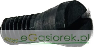 Wkręt wieńca P161303