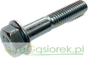 Śruba z kołnierzem M 8x40 kl. 8.8 ocynk