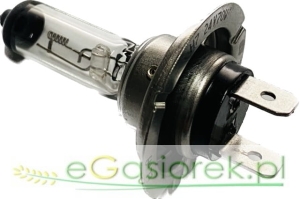 Żarówka halogenowa 24V 70W H7