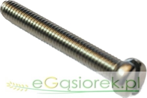 Wkęt z łbem walcowym  M 4x30 mm A2 stal nierdzewna