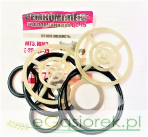 Kpl. naprawczy siłownika z oczyszczaczem C75