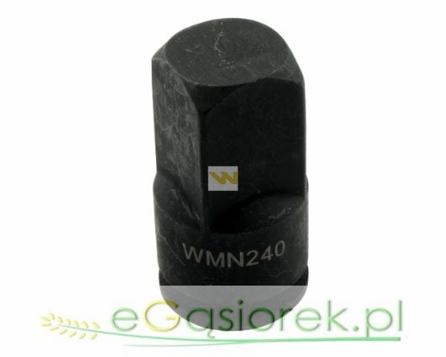 WMN240002.jpg