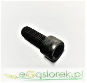 Śruba talerza M12x35 E0460185