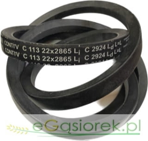 Pas klinowy 621588M1 22x2865Li/2924Ld C113