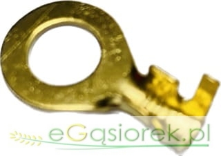 097ED433-8FE6-4A0D-8DEA-258CD7ECF3B5.jpeg