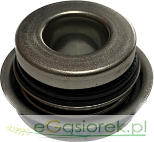 Reperaturka pompa wody C-330 Borimex 2418M001