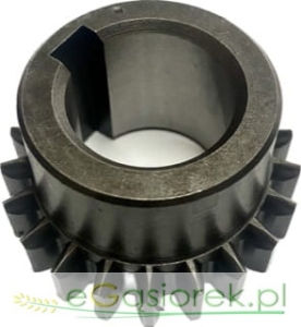 Zębatka z klinem Z21