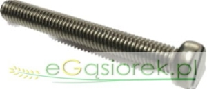 Wkęt z łbem walcowym  M 5x40 mm A2 ze stali