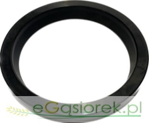 PIERŚCIEŃ Z 48x58x5-7