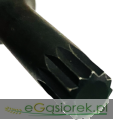 IMG_6506.png