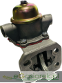 IMG_6593.png