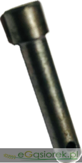 IMG_7236.png