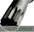 IMG_7381.png
