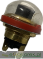 IMG_7436.png