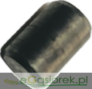 Kołek ustalający pokrywy tylnej silnika 3/8" MF3 0