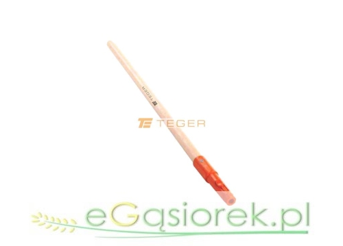 T-O-TRZON003_0.jpg