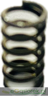 IMG_7898.png