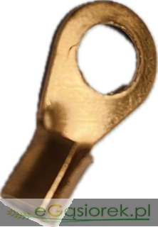 IMG_7995.png