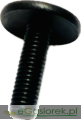 IMG_8558.png