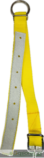 IMG_8746.png