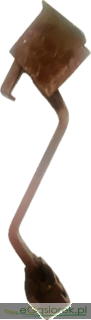 IMG_8805.png