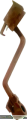 IMG_8808.png