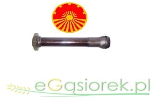 46619010CH.jpg