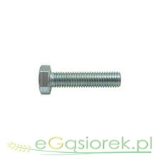 Śruba cały gwint 10x30 ocynk  KL 8 8