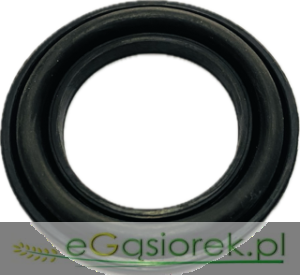 Uszczelka tłoczyska cylinderka