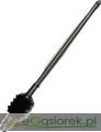 IMG_2025.png