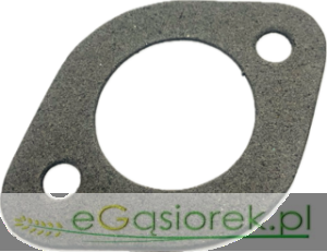 USZCZELKA SMOKA POMPY T25