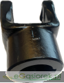 IMG_2779.png