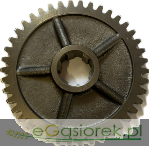 Koło zębate 260 T-25 38221