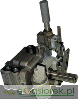 IMG_4109.png