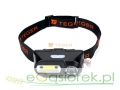 T-LED-0081_0.jpg