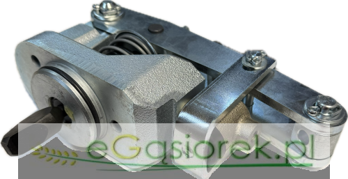 IMG_5860.png
