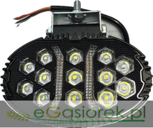 HALOGEN ROBOCZY LED OWALNY 39W SERIA BLACK