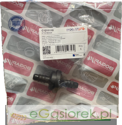 IMG_6217.png
