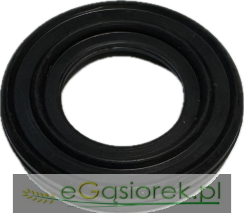 Temat - 2026-03-11T113911.108.png