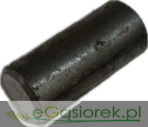 Kołek zwolnicy T-25 16x40