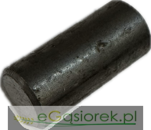 Temat - 2026-03-13T162338.969.png