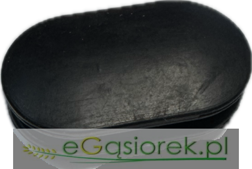 Temat - 2026-03-26T081007.287.png