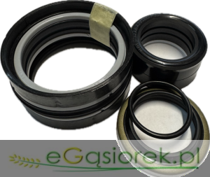 Zestaw uszczelnień skrętu F39