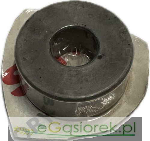 Temat - 2026-05-27T130420.158.png