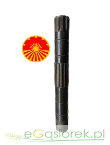 50480070U.jpg