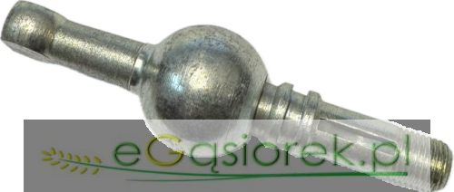 Temat - 2026-06-12T102345.126.png